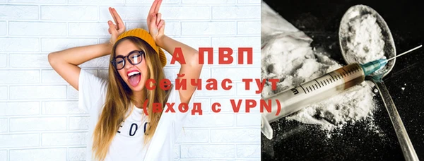 сатива Сосновка