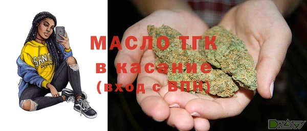 сатива Сосновка