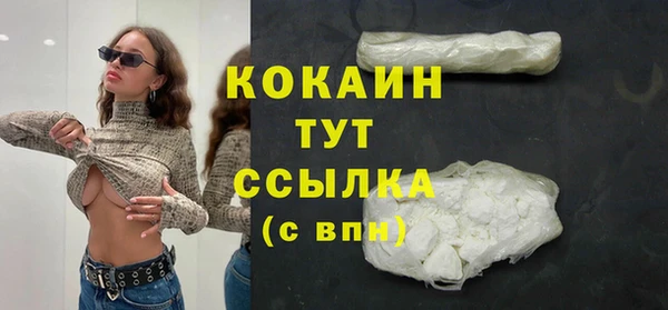 сатива Сосновка