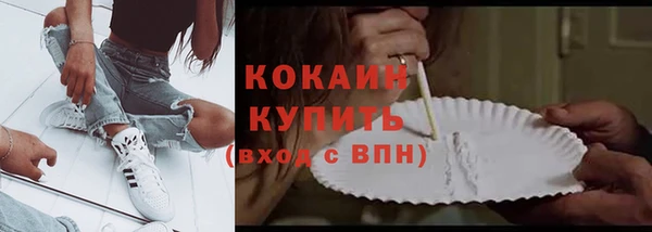 сатива Сосновка
