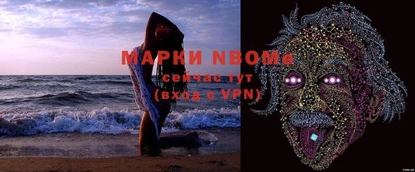 сатива Сосновка