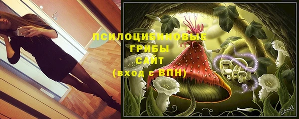 прущая мука Сосновый Бор