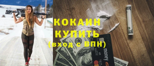 сатива Сосновка