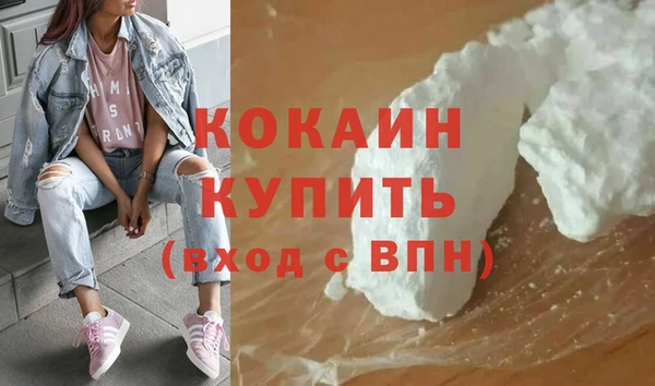 сатива Сосновка