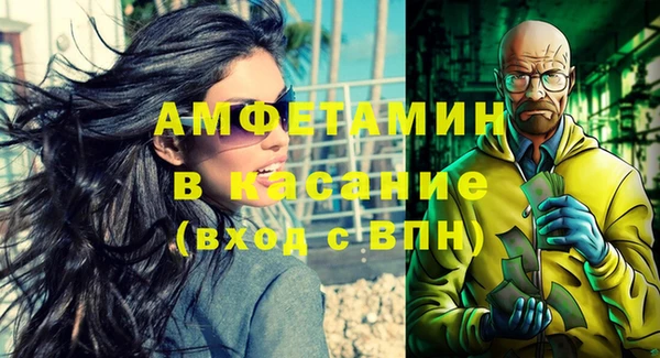 сатива Сосновка