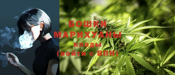 сатива Сосновка